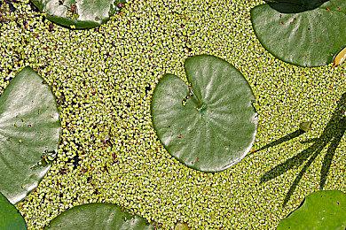 EA表示毒性环境在大公司不可避免 但必须采取行动、扩大女性比例